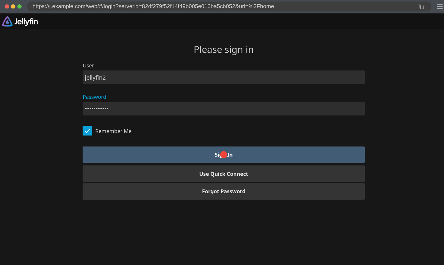 Jellyfin login form shows two text inputs followed by the Sign In button