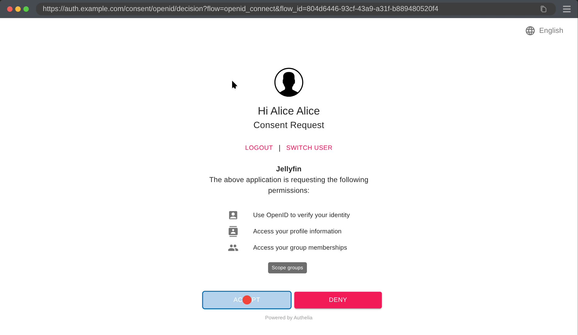 SSO permission grant page